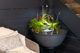 Photo of Aquascape AquaGarden Plant Light - Aquascape Canada
